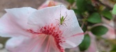 Enlarge photo 28