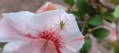 Enlarge photo 29