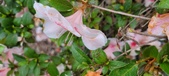 Enlarge photo 34