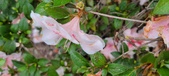 Enlarge photo 38