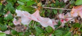 Enlarge photo 37