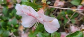 Enlarge photo 36