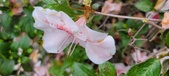 Enlarge photo 35