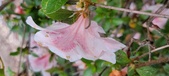 Enlarge photo 39