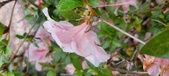 Enlarge photo 40