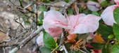 Enlarge photo 42