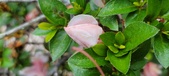 Enlarge photo 43