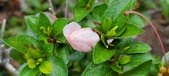 Enlarge photo 44