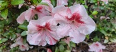Enlarge photo 46