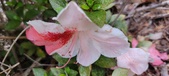 Enlarge photo 50