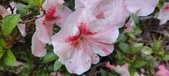 Enlarge photo 48