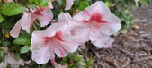 Enlarge photo 47