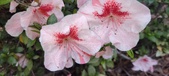 Enlarge photo 54