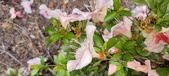 Enlarge photo 55