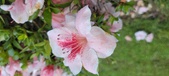 Enlarge photo 57