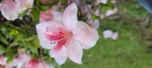 Enlarge photo 58