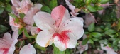 Enlarge photo 62