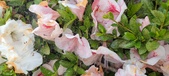 Enlarge photo 64