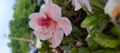 Enlarge photo 67