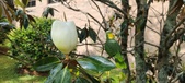 Enlarge photo 73