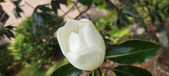 Enlarge photo 74