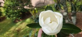 Enlarge photo 78