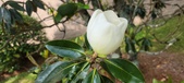 Enlarge photo 77