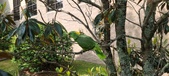 Enlarge photo 76