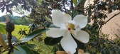 Enlarge photo 75