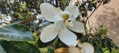 Enlarge photo 79