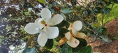 Enlarge photo 80