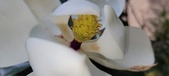 Enlarge photo 81