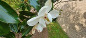 Enlarge photo 82