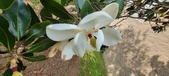 Enlarge photo 86