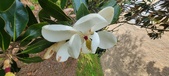 Enlarge photo 85