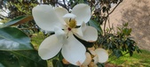 Enlarge photo 84