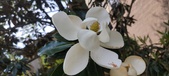Enlarge photo 87