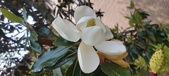 Enlarge photo 88