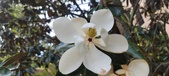 Enlarge photo 89
