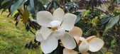 Enlarge photo 91