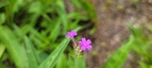 Enlarge photo 94