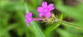 Enlarge photo 98