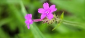 Enlarge photo 97