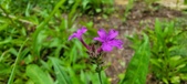 Enlarge photo 99