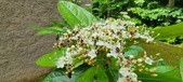 Enlarge photo 102