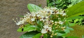 Enlarge photo 103