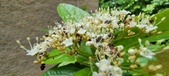 Enlarge photo 104