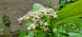 Enlarge photo 105