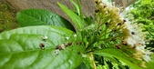 Enlarge photo 106
