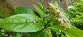 Enlarge photo 107